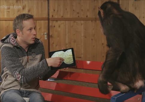 iPad Tricks für einen Affen