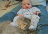 Baby vs. Katze